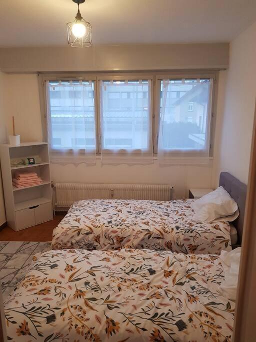 Magnifique T2 Au Centre Ville Cluses Εξωτερικό φωτογραφία
